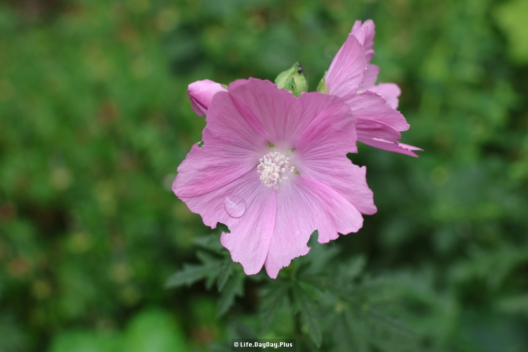 0EF2C639-F5BF-4064-93D0-B68BED8A47C1_1_105_c