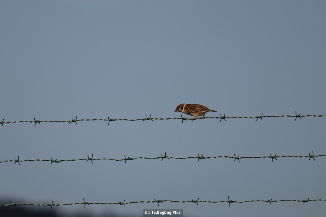 B5B478D3-09D4-4E48-9327-7AB3209626FF_1_105_c