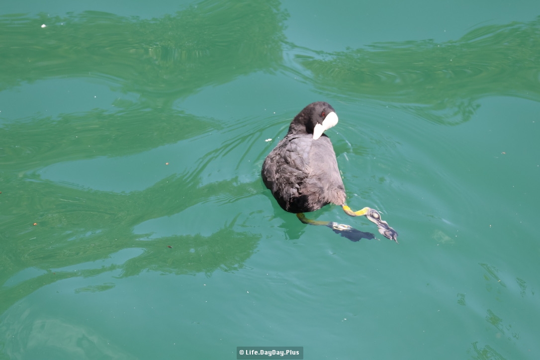 4A15ED39-D024-4B83-8BAE-D26743CA5645_1_105_c