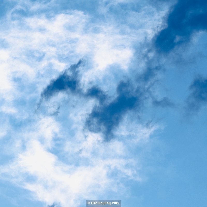 8039BA8C-E58F-4BD0-B3DC-8C654A726D39_1_201_a