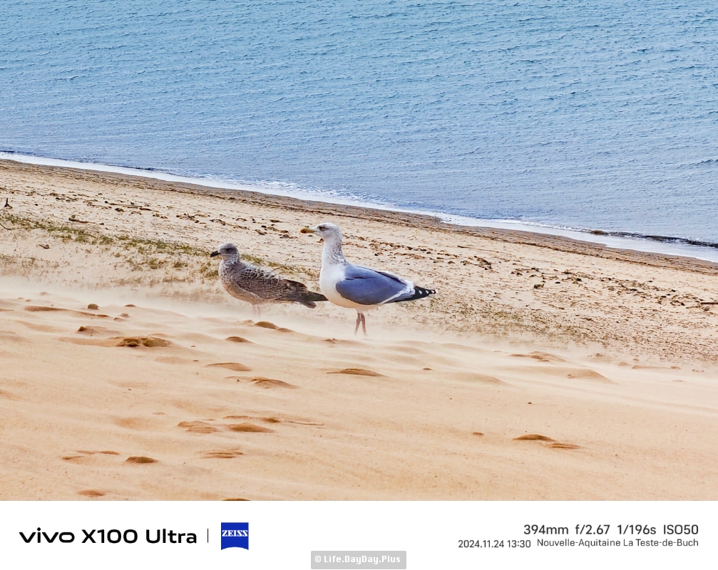 1541765548710_.pic_hd