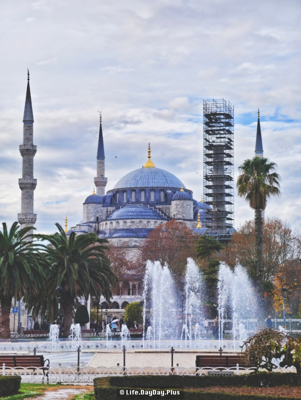 1631765548727_.pic_hd