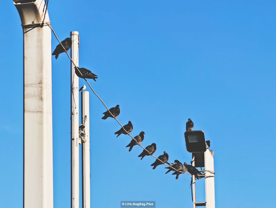 1681765548735_.pic_hd