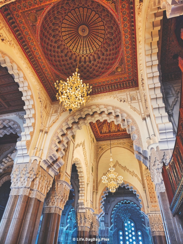 1781765548751_.pic_hd