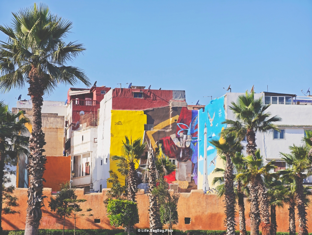 1801765548754_.pic_hd