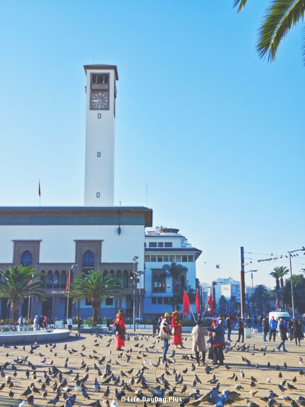 1821765548757_.pic_hd