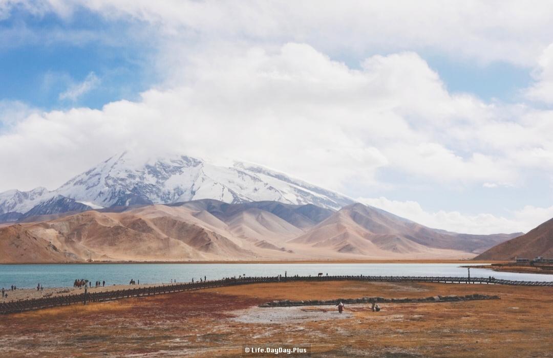 1971765552026_.pic_hd