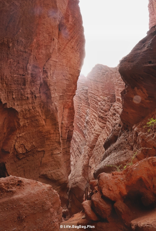 1991765552029_.pic_hd