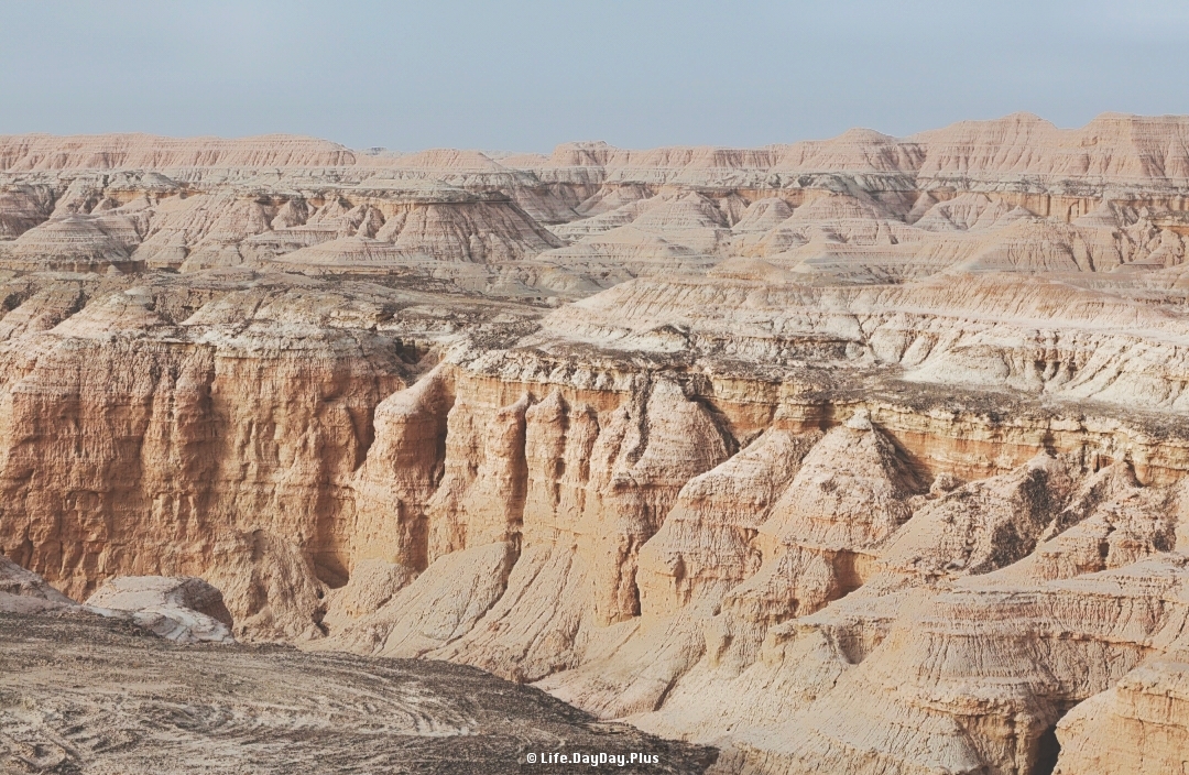 2001765552031_.pic_hd