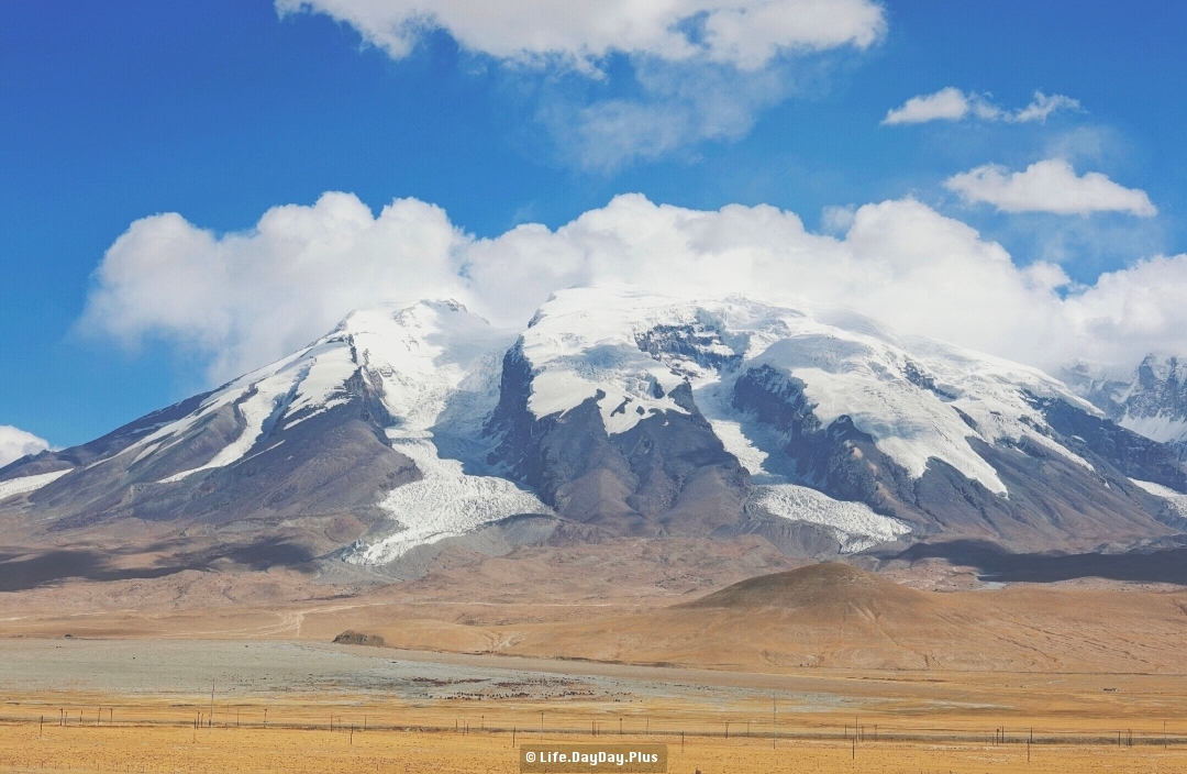 2021765552033_.pic_hd