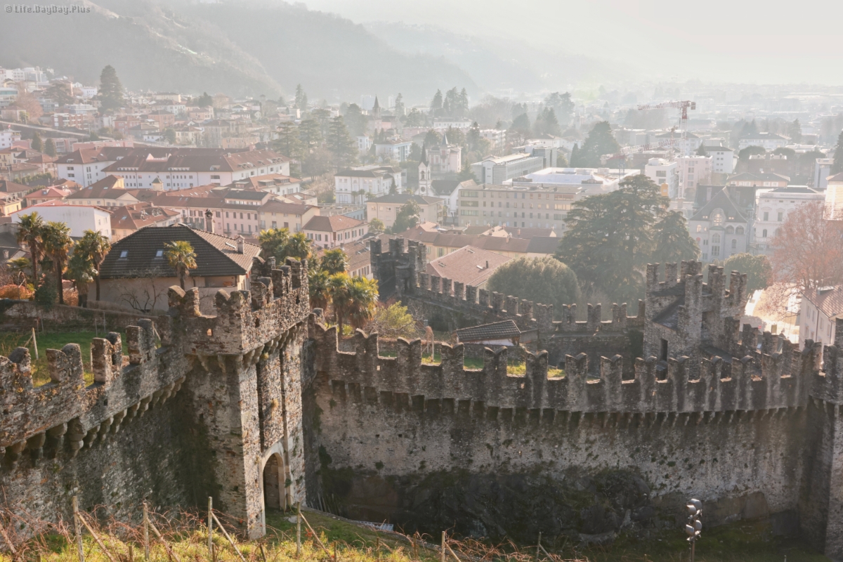 从城堡上俯瞰贝林佐纳