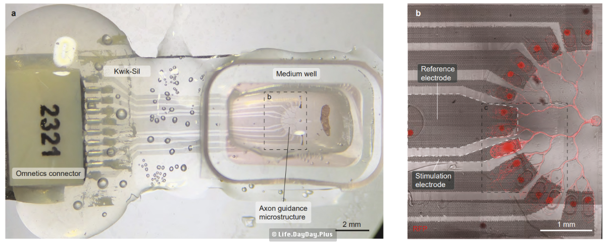 Snipaste_2024-06-04_22-44-27